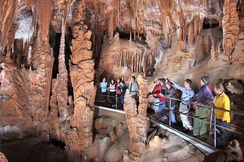 Private Tour: Jenolan Caves & Blue Mountains In A Day - Accommodation in Surfers Paradise 0