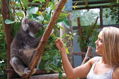 Private Guided Tour: Blue Mountains Tour From Sydney - Accommodation in Surfers Paradise 5