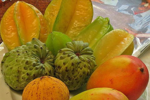 Cairns 4WD Waterfall And Rainforest Tour Including Kuranda Scenic Railway - Accommodation in Surfers Paradise 4