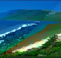 Cairns Reef and Rainforest Combo Daintree Rainforest and the Great Barrier Reef - Accommodation in Surfers Paradise