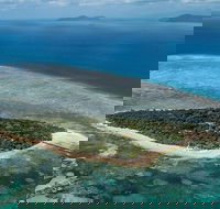4-Day Cairns with Great Barrier Reef and Daintree Rainforest - Accommodation in Surfers Paradise