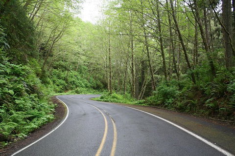 Cruise Ship Shore Excursion - Private Great Ocean Road Full Day Tour (12 Hour) - Accommodation in Surfers Paradise 3