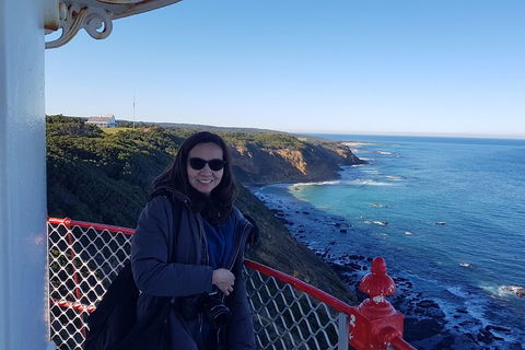 Great Ocean Road Full Day Private Experience - Accommodation in Surfers Paradise 1
