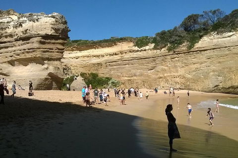 Great Ocean Road Full Day Private Experience - Accommodation in Surfers Paradise 3