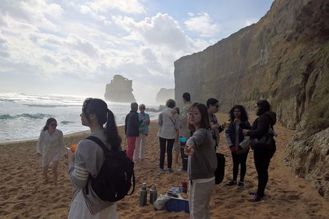 Great Ocean Road Full Day Private Experience - Accommodation in Surfers Paradise 4