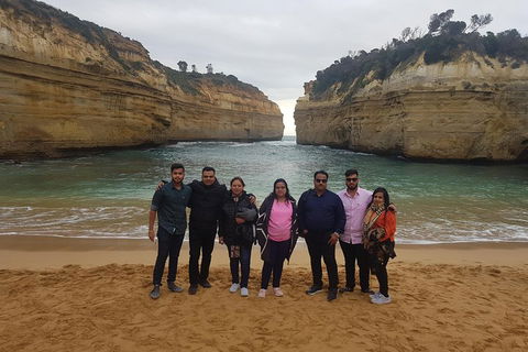 Great Ocean Road Full Day Private Experience - Accommodation in Surfers Paradise 5