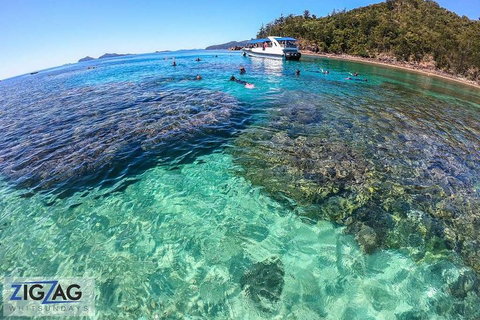 Whitehaven Beach Day Tour With Snorkel In Whitsundays Island - Accommodation in Surfers Paradise 5