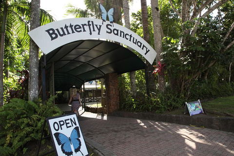 Kuranda Day Trip From Port Douglas Upgrade To Skyrail & Scenic Train Available - Accommodation in Surfers Paradise 0