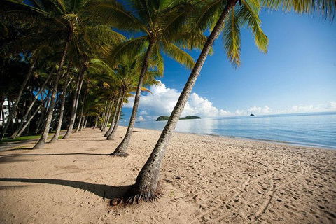 Kuranda Day Trip From Port Douglas Upgrade To Skyrail & Scenic Train Available - Accommodation in Surfers Paradise 1