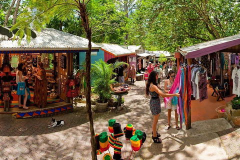 Kuranda Day Trip From Port Douglas Upgrade To Skyrail & Scenic Train Available - Accommodation in Surfers Paradise 2