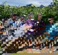 Adelaide Hills and Hahndorf - Half Day Private Tour - Accommodation in Surfers Paradise