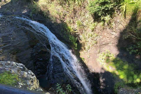 Waterfall Tour - Accommodation in Surfers Paradise 1
