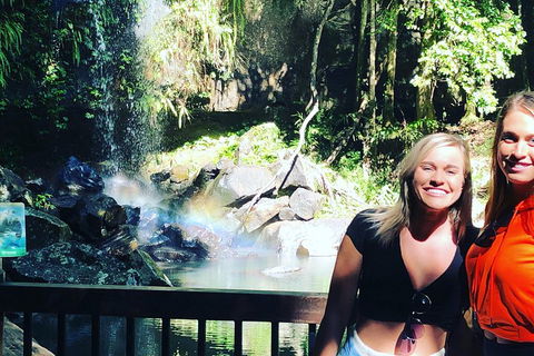 Waterfall Tour - Accommodation in Surfers Paradise 3