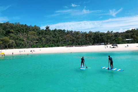 Whitehaven Beach Club - Accommodation in Surfers Paradise 5