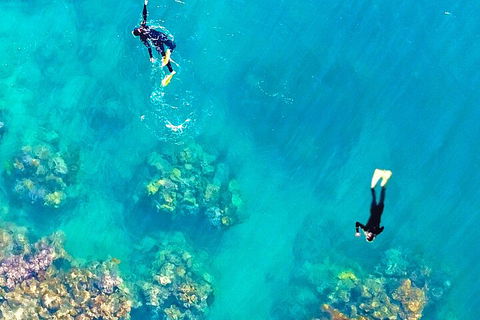 Fly & Cruise - Seaplane Package - Accommodation in Surfers Paradise 1