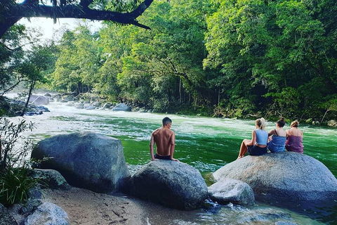 Afternoon Half-Day Daintree Rainforest And River Tour - Accommodation in Surfers Paradise 0