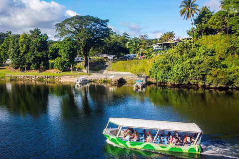 Afternoon Half-Day Daintree Rainforest And River Tour - Accommodation in Surfers Paradise 1