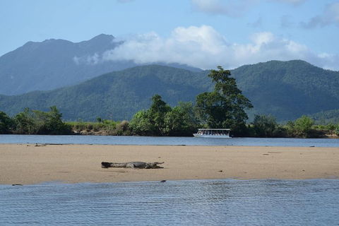 Afternoon Half-Day Daintree Rainforest And River Tour - Accommodation in Surfers Paradise 2