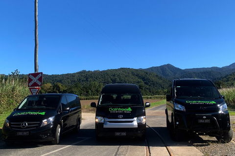 Afternoon Half-Day Daintree Rainforest And River Tour - Accommodation in Surfers Paradise 4