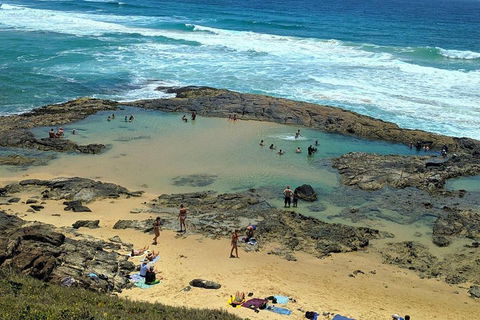 Pippies 3 Days 2 Nights Fraser Island Tour - Accommodation in Surfers Paradise 5