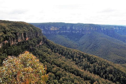 Blue Mountains - Accommodation in Surfers Paradise 3