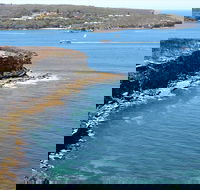 Half day Manly Beach and more - Accommodation in Surfers Paradise