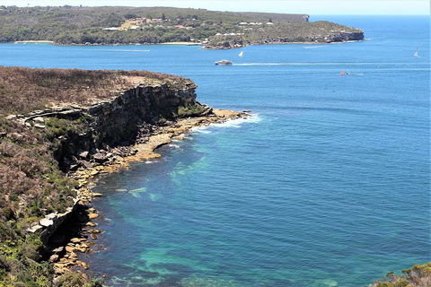 Half Day Manly Beach And More - Accommodation in Surfers Paradise 0