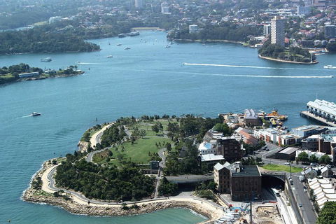 Half Day Manly Beach And More - Accommodation in Surfers Paradise 1