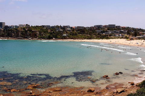 Half Day Manly Beach And More - Accommodation in Surfers Paradise 2