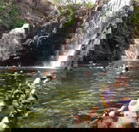 Litchfield National Park and Jumping Crocodile Cruise - Accommodation in Surfers Paradise