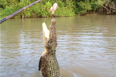 Litchfield National Park And Jumping Crocodile Cruise - Accommodation in Surfers Paradise 2