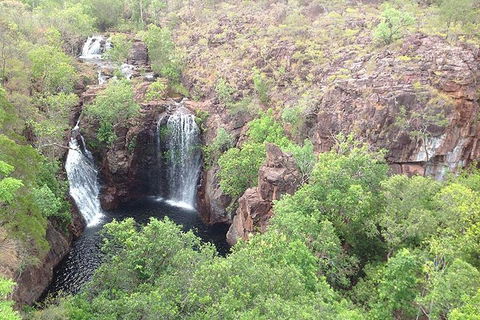 Litchfield National Park And Jumping Crocodile Cruise - Accommodation in Surfers Paradise 4