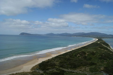 7-Day Best Of Tasmania Adventure Experience From Hobart (flexible Ticket) - Accommodation in Surfers Paradise 2