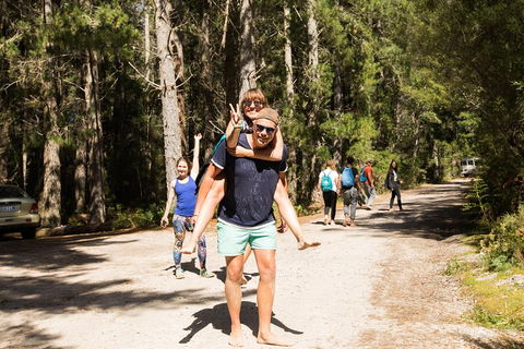 7-Day Best Of Tasmania Adventure Experience From Hobart (flexible Ticket) - Accommodation in Surfers Paradise 5