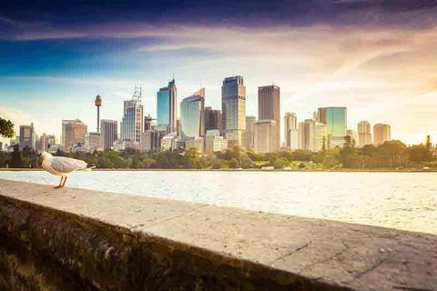 Private Sydney City And Bondi Beach Half Day Tour - Accommodation in Surfers Paradise 2
