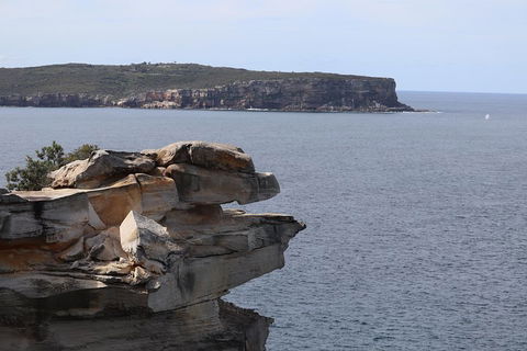 Private Sydney City And Bondi Beach Half Day Tour - Accommodation in Surfers Paradise 3
