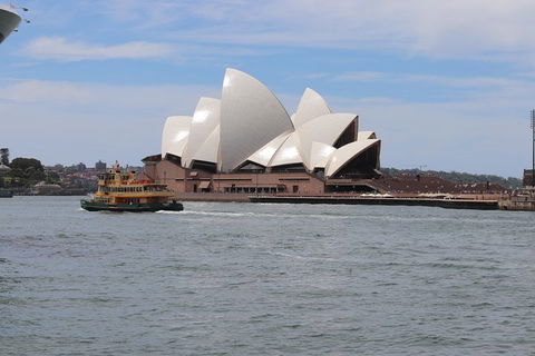 Private Sydney City And Bondi Beach Half Day Tour - Accommodation in Surfers Paradise 5