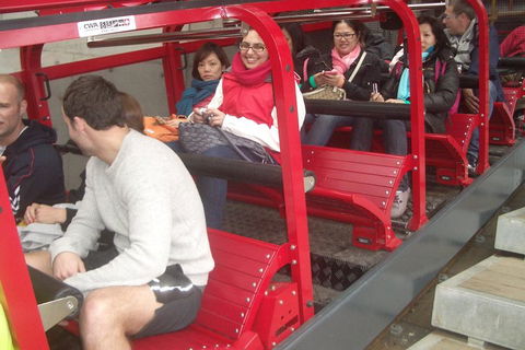 Full-Day Private Blue Mountains Tour With River Cruise - Accommodation in Surfers Paradise 0