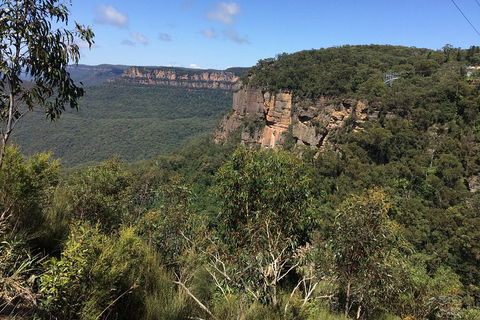 Full-Day Private Blue Mountains Tour With River Cruise - Accommodation in Surfers Paradise 1