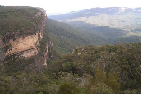 Full-Day Private Blue Mountains Tour With River Cruise - Accommodation in Surfers Paradise 3