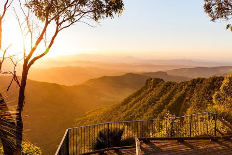 O'Reilly's & Lamington National Park Incl. Alpaca Farm + Vineyard - Accommodation in Surfers Paradise 0