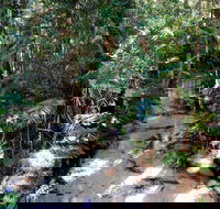 Fraser Island 4WD Tour from Rainbow Beach - Accommodation in Surfers Paradise