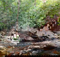 Ethical Adventures - Best in the WET - Litchfield / Kakadu 3 Day- max 10 guests - Accommodation in Surfers Paradise