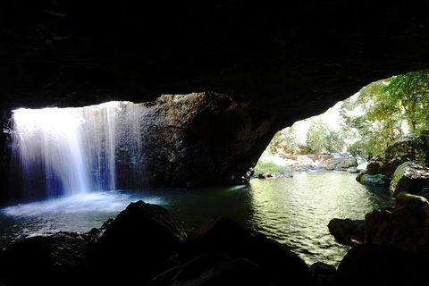 Rainforest & Waterfalls Extravaganza - Accommodation in Surfers Paradise 0