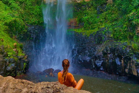 Rainforest & Waterfalls Extravaganza - Accommodation in Surfers Paradise 2