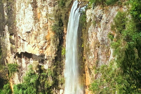 Private Tour - Rainforest & Waterfalls Extravaganza - Accommodation in Surfers Paradise 0