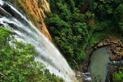 Private Tour - Rainforest & Waterfalls Extravaganza - Accommodation in Surfers Paradise 2