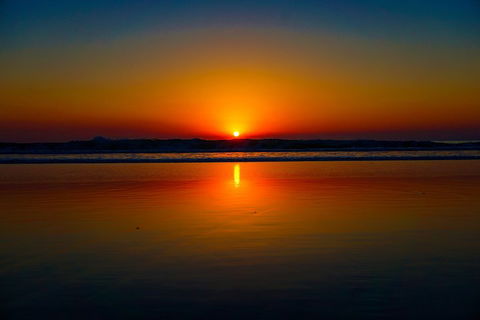 Glow Worms Private Tour - Nocturnal Rainforest Walk - Accommodation in Surfers Paradise 3