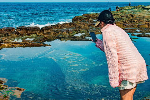 Sydney Private Tour Featuring Wilderness, Wildlife, Waves, Waterfalls And Wine - Accommodation in Surfers Paradise 1