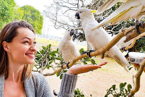 Sydney Private Tour Featuring Wilderness, Wildlife, Waves, Waterfalls And Wine - Accommodation in Surfers Paradise 4